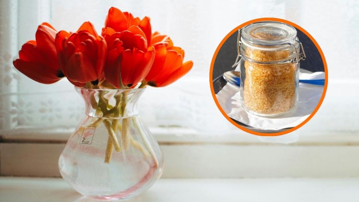 Oubliez les fleurs fanées, ces 2 ingrédients de cuisine les maintiennent en vie plus longtemps