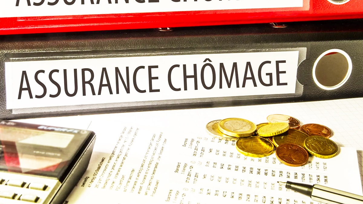 Assurance chômage : 7 points majeurs que tous les demandeurs d’emploi doivent connaître