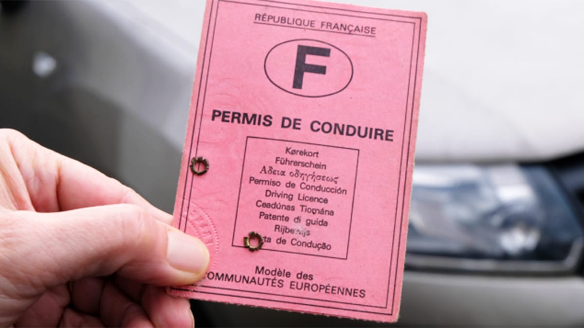 Permis de conduire : l’amende que vous risquez si vous ne l’avez pas sur vous