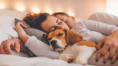 Pourquoi il est bon de dormir avec un chien ou un chat, selon les experts